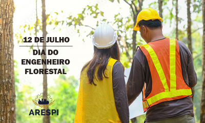 12 de julho – Dia do Engenheiro Florestal